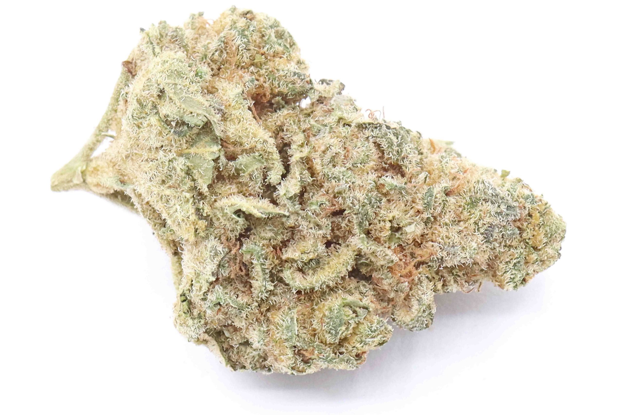 Lemon Haze Strain AAA Small Buds - Sativa Dominant Hybrid