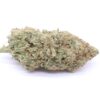 Red Congolese Strain Flower - Sativa Red Congolese Strain Flower - Sativa
