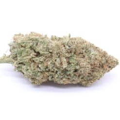 Red Congolese Strain Flower - Sativa