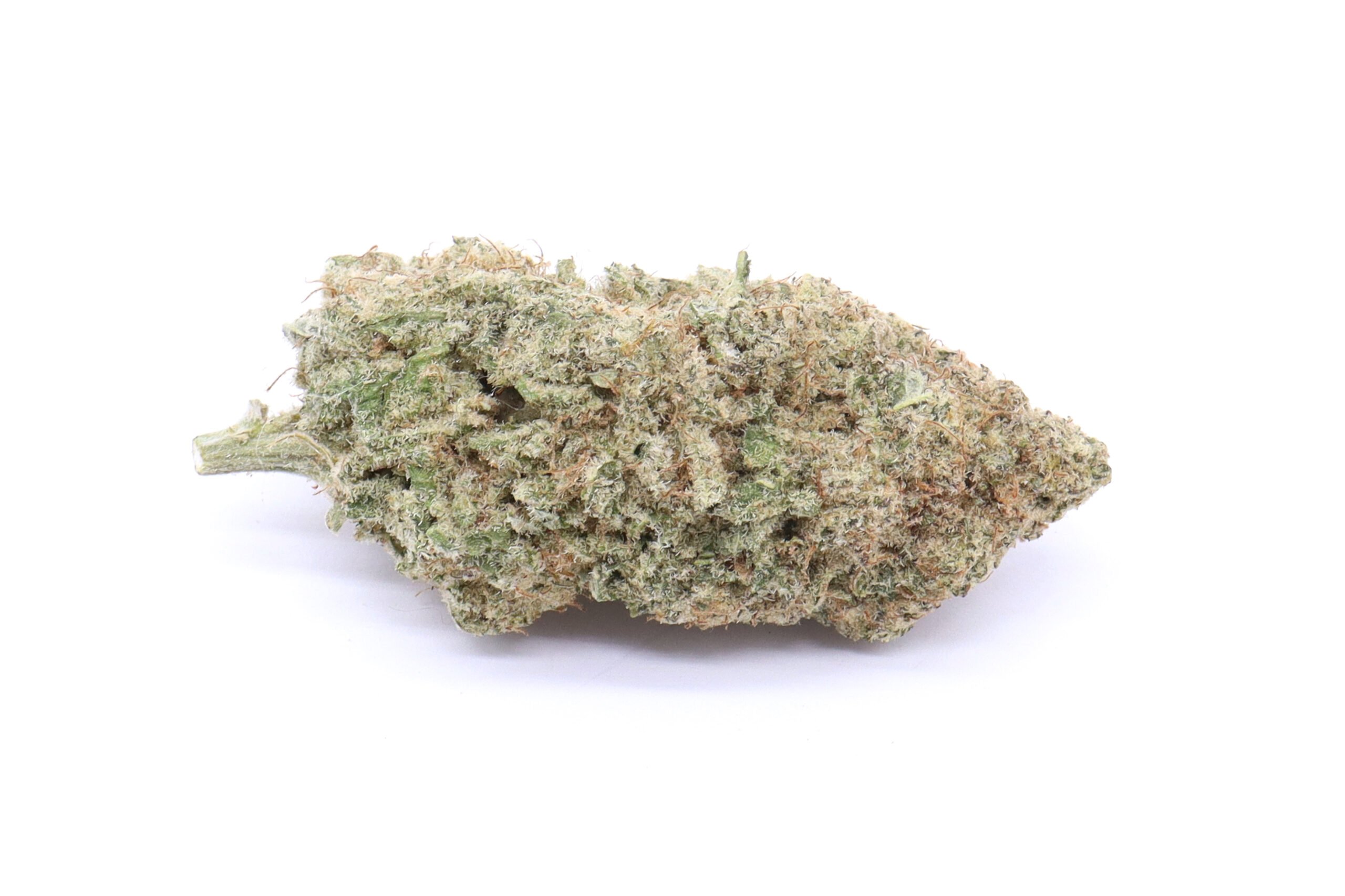 Red Congolese Strain Flower - Sativa
