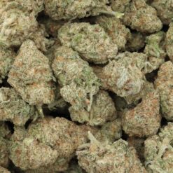 Red Congolese Strain Flower - Sativa Red Congolese Strain Flower - Sativa