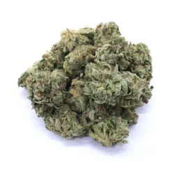 Lemon Haze Strain AAAA Small Buds - Sativa Dominant Hybrid