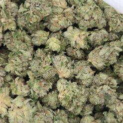Lemon Haze Strain AAAA Small Buds - Sativa Dominant Hybrid