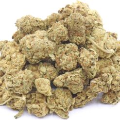 Nightmare Cookies Strain AAA Small Buds - Sativa Dominant Hybrid Nightmare Cookies Strain AAA Small Buds - Sativa Dominant Hybrid