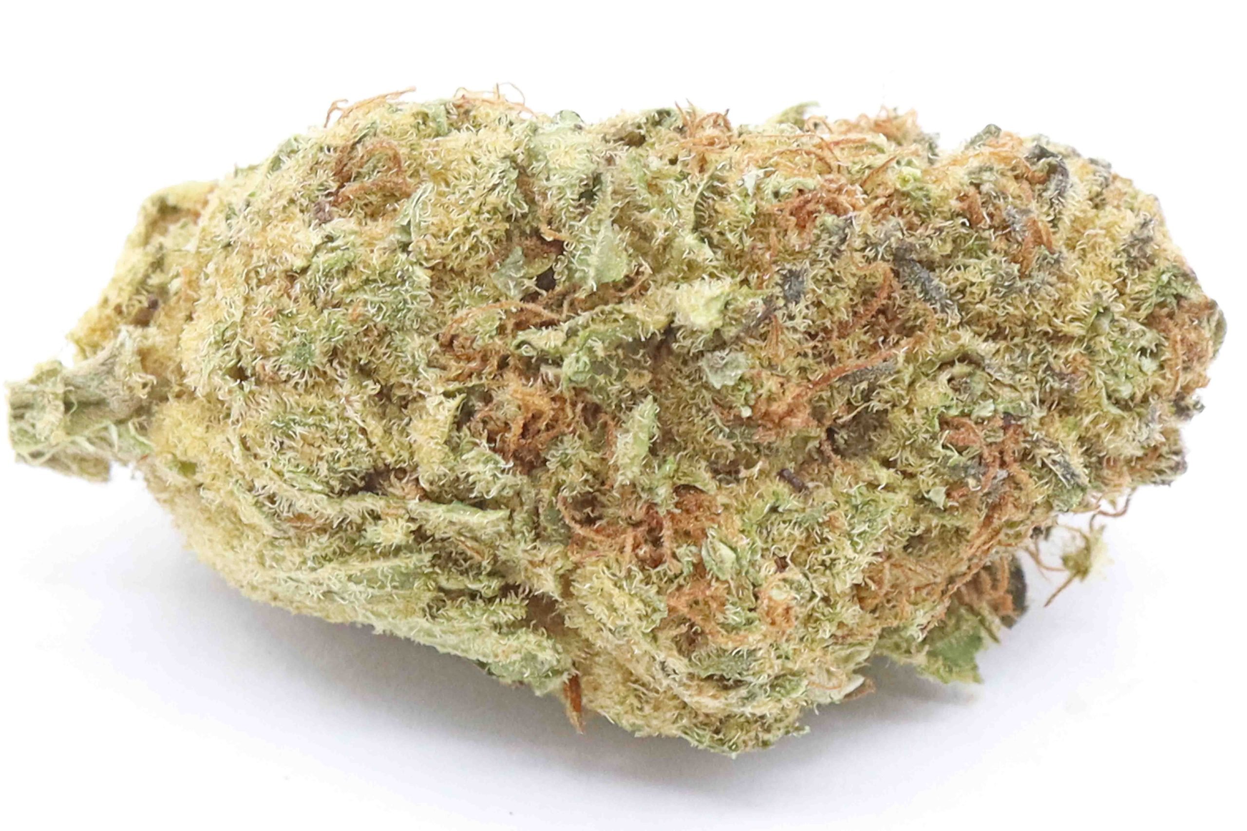 Nightmare Cookies Strain AAA Small Buds - Sativa Dominant Hybrid