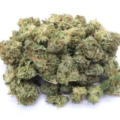 Nightmare Cookies Strain AAA Small Buds - Sativa Dominant Hybrid