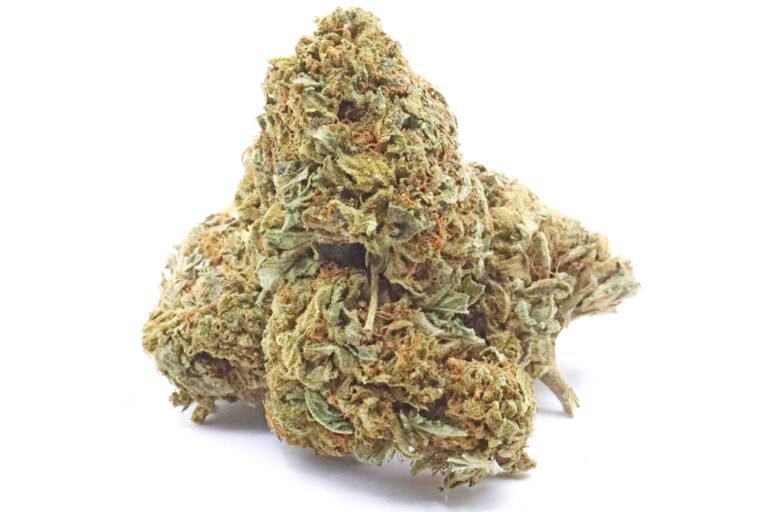 OG Dog