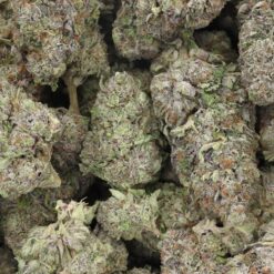 Pre-98 Bubba Kush Strain Flower - Indica Dominant Hybrid Pre-98 Bubba Kush Strain Flower - Indica Dominant Hybrid
