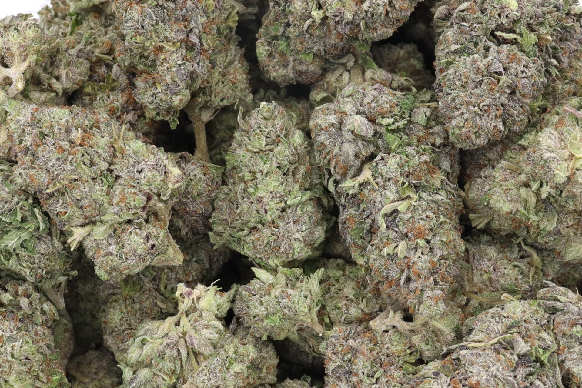 Pre-98 Bubba Kush Strain Flower - Indica Dominant Hybrid Pre-98 Bubba Kush Strain Flower - Indica Dominant Hybrid
