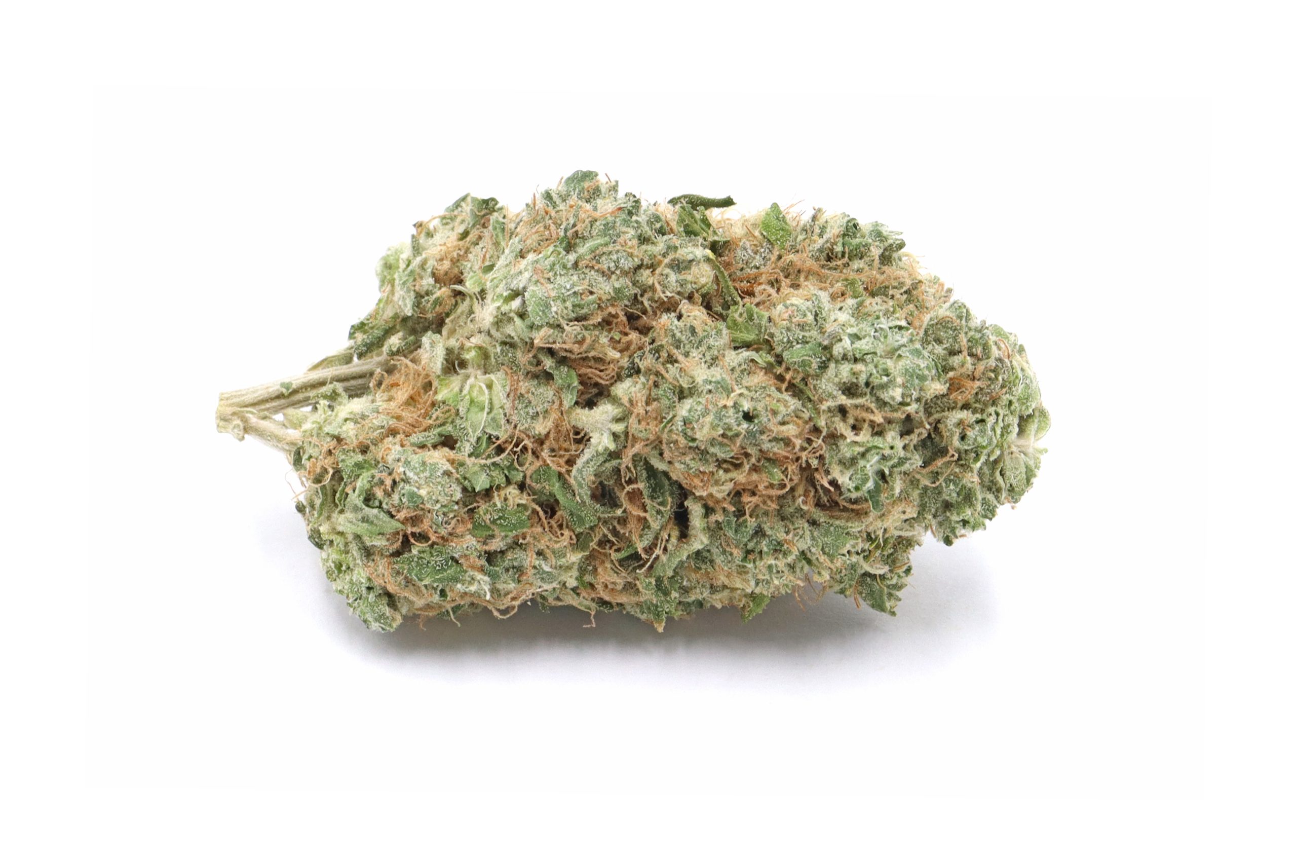 Red Congolese Strain Flower - Sativa