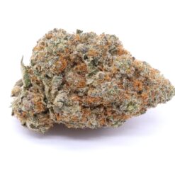 Red Congolese Strain Flower - Sativa
