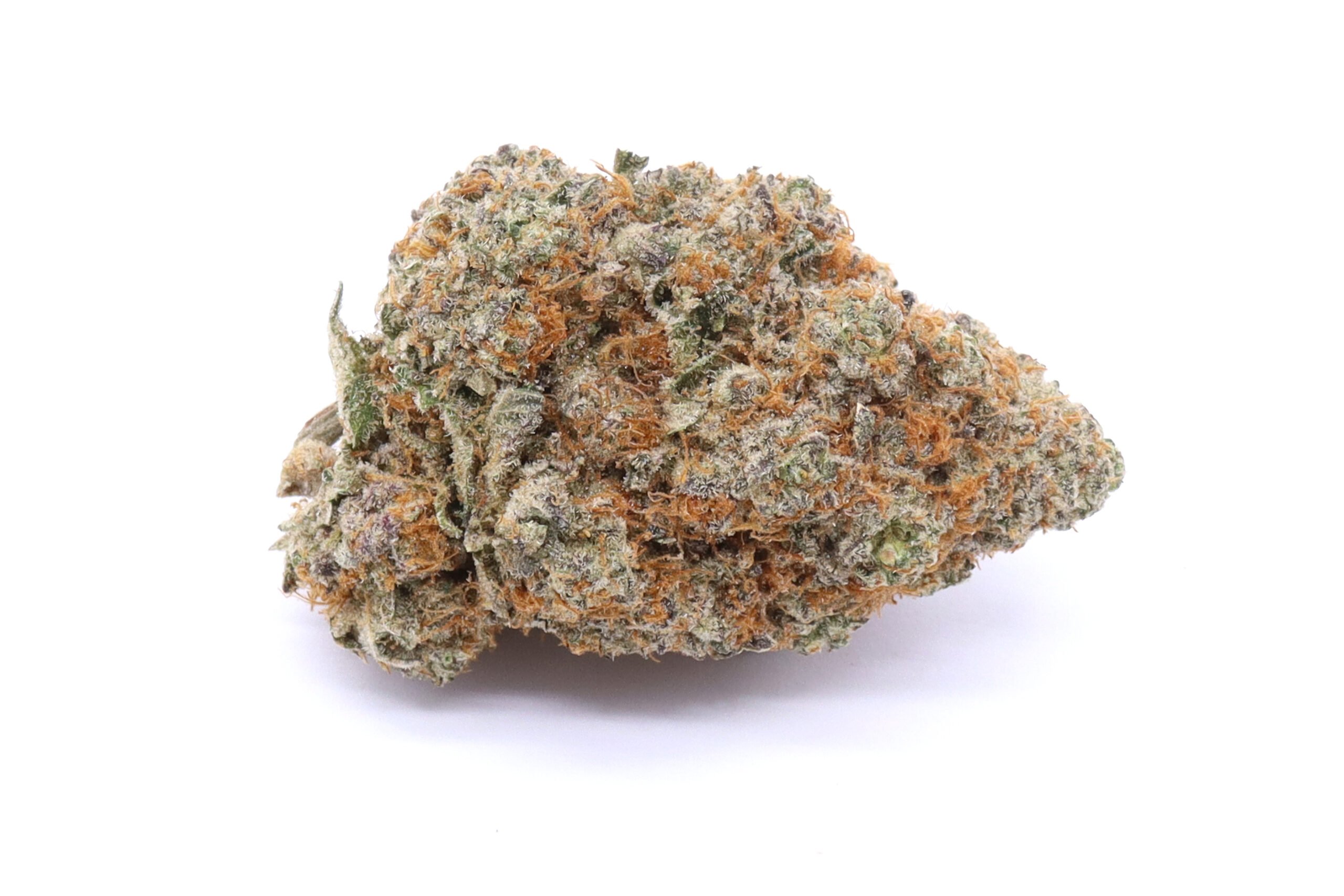 Red Congolese Strain Flower - Sativa