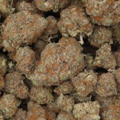 Red Congolese Strain Flower - Sativa Red Congolese Strain Flower - Sativa