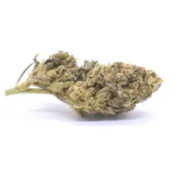 Rockbud Strain Flower - Indica Dominant Hybrid