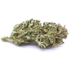 Rockbud Strain Greenhouse Flower - Indica Dominant Hybrid