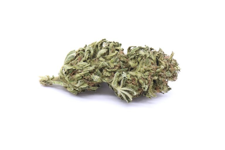 Rockbud