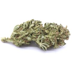 Rockbud Strain Greenhouse Flower - Indica Dominant Hybrid
