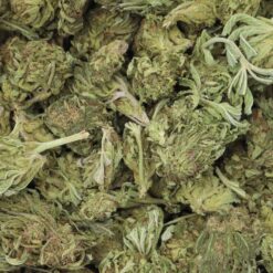 Rockbud Strain Greenhouse Flower - Indica Dominant Hybrid Rockbud Strain Greenhouse Flower - Indica Dominant Hybrid