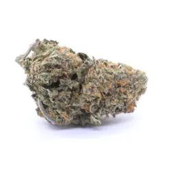 Sour Tangie Strain Flower - Sativa Dominant Hybrid