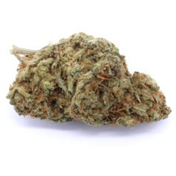 Sour Tangie Strain Flower - Sativa Dominant Hybrid