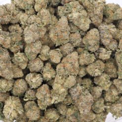 Sour Tangie Strain Flower - Sativa Dominant Hybrid