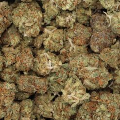 Sour Tangie Strain Flower - Sativa Dominant Hybrid Sour Tangie Strain Flower - Sativa Dominant Hybrid