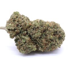 Red Congolese Strain Flower - Sativa