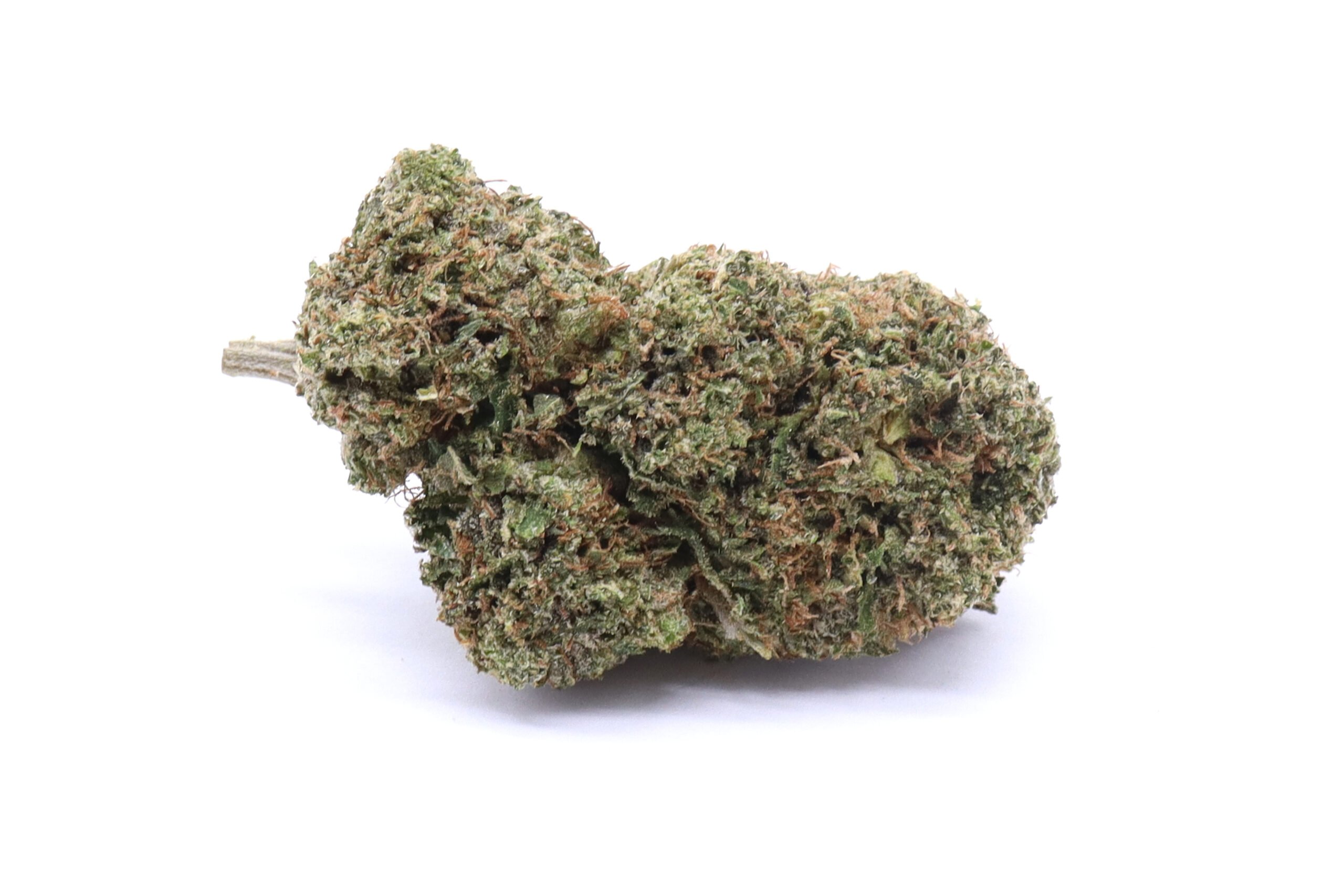 Red Congolese Strain Flower - Sativa
