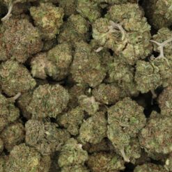 Red Congolese Strain Flower - Sativa Red Congolese Strain Flower - Sativa