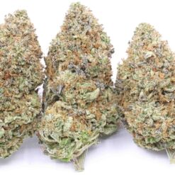 Wagyu Pink Strain Flower - Indica Dominant Hybrid Wagyu Pink Strain Flower - Indica Dominant Hybrid