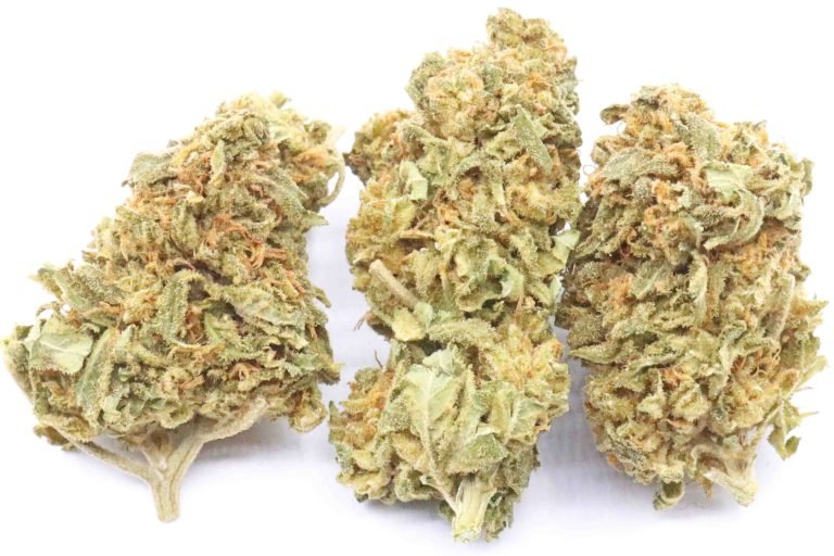 Blueberry Haze