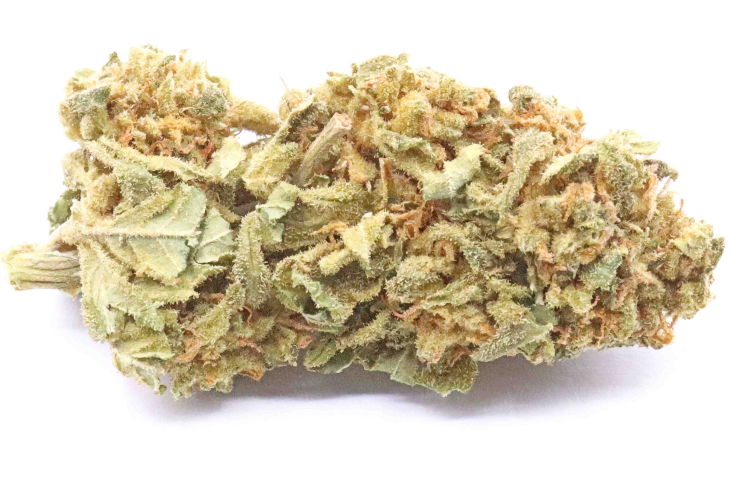 Blueberry Haze Strain Flower - Sativa Dominant Hybrid