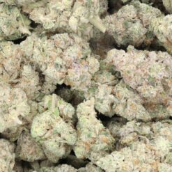 Golden Haze Strain Flower - Sativa Dominant Hybrid Golden Haze Strain Flower - Sativa Dominant Hybrid