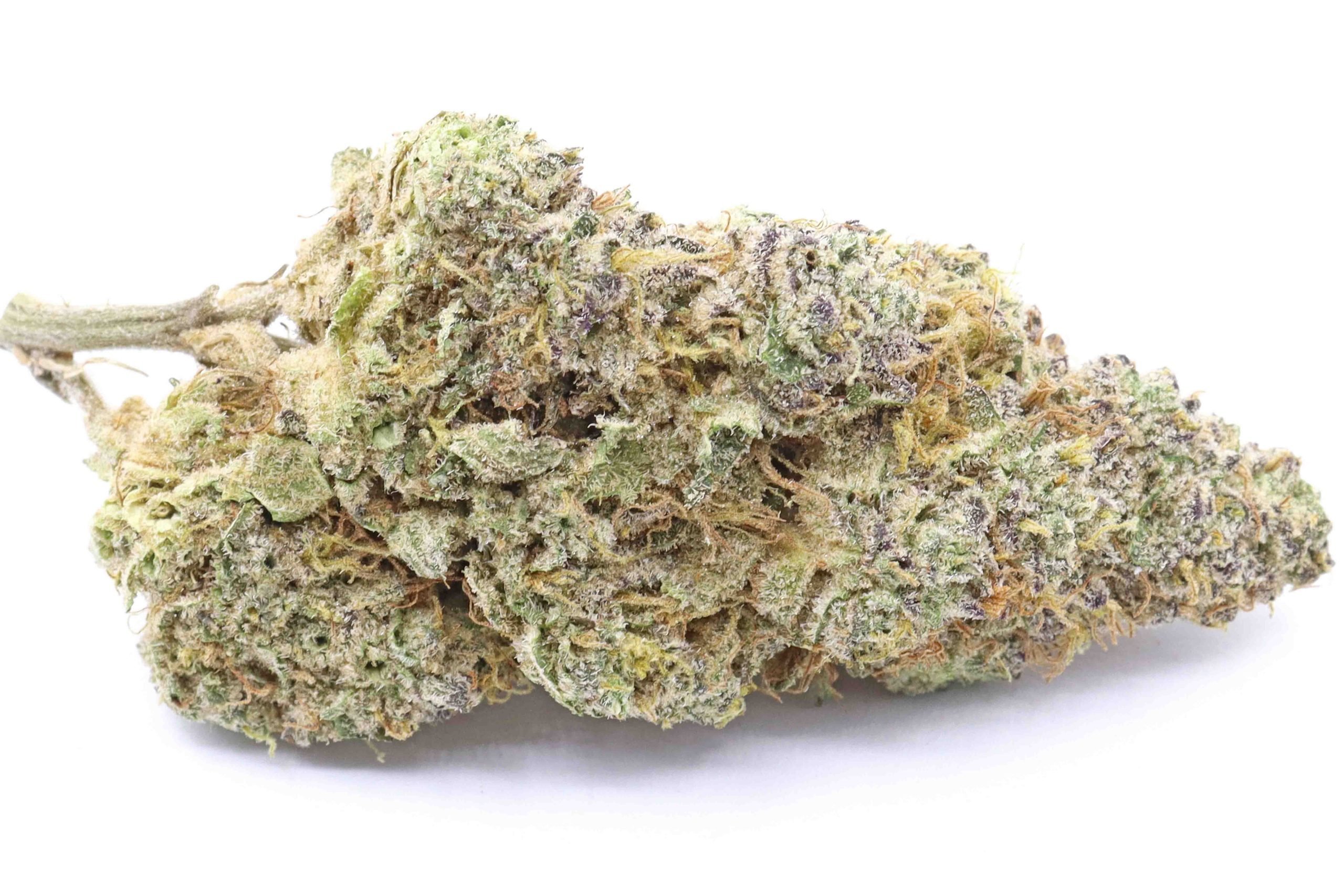 Golden Haze Strain Flower - Sativa Dominant Hybrid