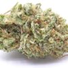 Pink 2.0 Strain Flower - Indica Dominant Hybrid Pink 2.0 Strain Flower - Indica Dominant Hybrid