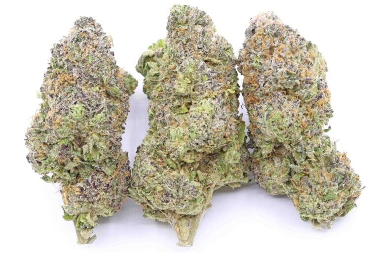 Rainbow Sherbert