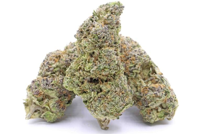 Rainbow Sherbert