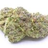 Rainbow Sherbert Strain Flower - Hybrid Rainbow Sherbert Strain Flower - Hybrid