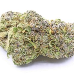 Rainbow Sherbert Strain Flower - Hybrid