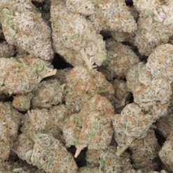 Ripped Off Runtz Strain Flower - Indica