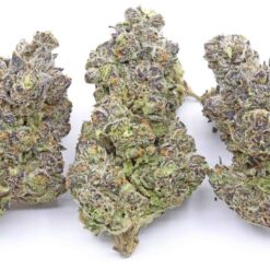 Ripped Off Runtz Strain Flower - Indica Ripped Off Runtz Strain Flower - Indica