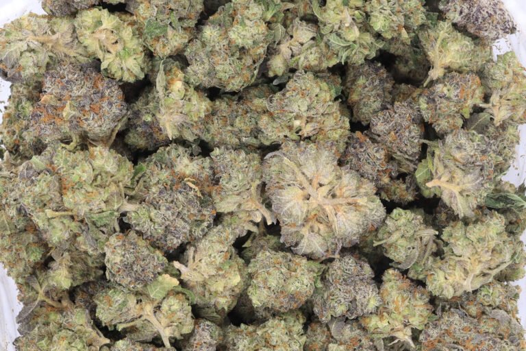 Skunk Ape