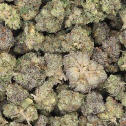 Skunk Ape Strain AAA Small Buds - Indica Dominant Hybrid