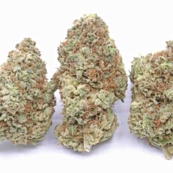 Blue Coma Strain Flower - Sativa Dominant Hybrid Blue Coma Strain Flower - Sativa Dominant Hybrid