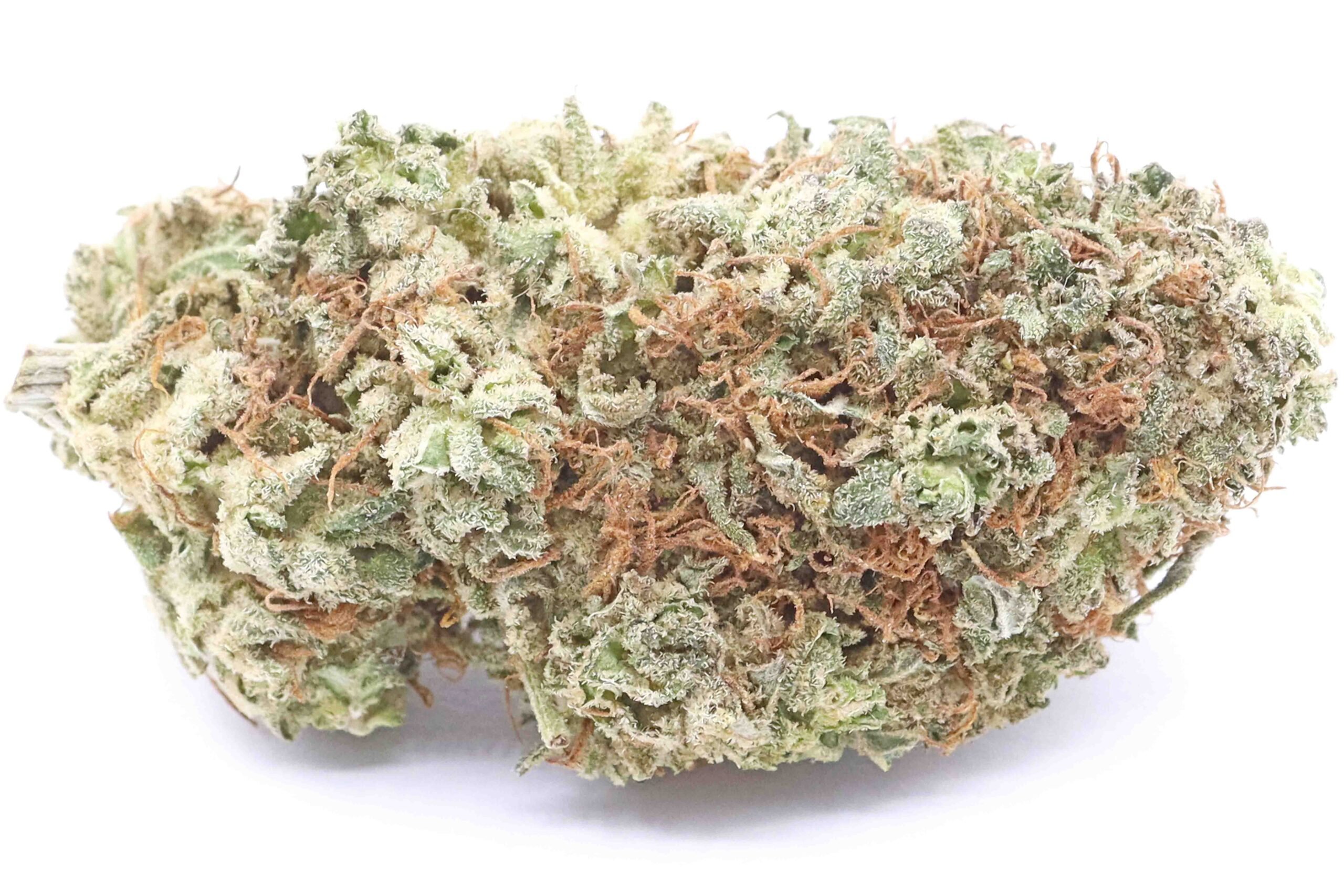 Blue Coma Strain Flower - Sativa Dominant Hybrid