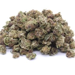 Grape Gas Strain Small Buds - Hybrid