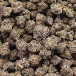 Grape Gas Strain Small Buds - Hybrid