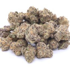 Grape Gas Strain Small Buds - Hybrid