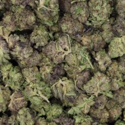 Grape Gas Strain Small Buds - Hybrid Grape Gas Strain Small Buds - Hybrid