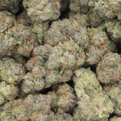 Grape Runtz Strain Flower - Hybrid Grape Runtz Strain Flower - Hybrid